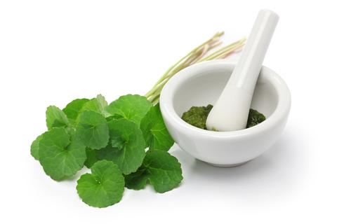 Centella Asiatica Leaves - Centella Asiatica is an ingredient in BeLoved Belly Sheet Mask